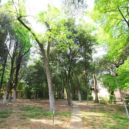 Apartmán Montecorneo-1 By Interhome